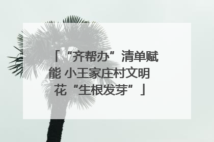 “齐帮办”清单赋能 小王家庄村文明花“生根发芽”