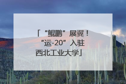 “鲲鹏”展翼！“运-20”入驻西北工业大学