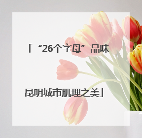 “26个字母”品味昆明城市肌理之美