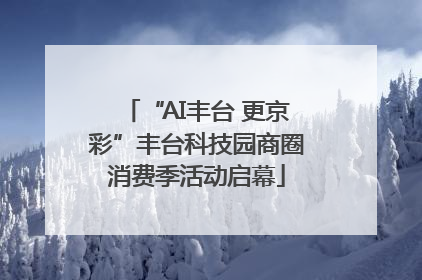 “AI丰台 更京彩”丰台科技园商圈消费季活动启幕