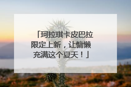珂拉琪卡皮巴拉限定上新，让慵懒充满这个夏天！
