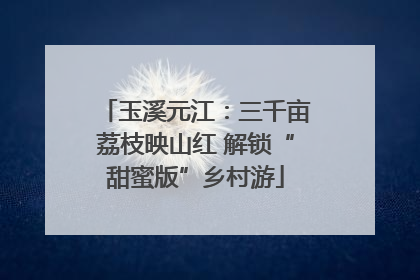 玉溪元江：三千亩荔枝映山红 解锁“甜蜜版”乡村游