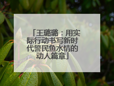 王璐璐：用实际行动书写新时代警民鱼水情的动人篇章