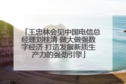 王忠林会见中国电信总经理刘桂清 做大做强数字经济 打造发展新质生产力的强劲引擎