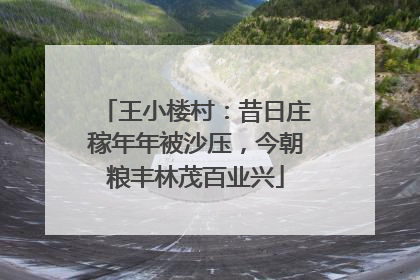 王小楼村：昔日庄稼年年被沙压，今朝粮丰林茂百业兴