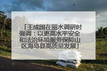 王成国在丽水调研时强调：以更高水平安全和法治环境服务保障山区海岛县高质量发展