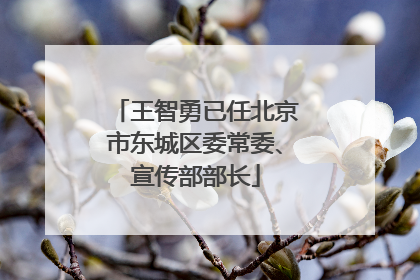 王智勇已任北京市东城区委常委、宣传部部长