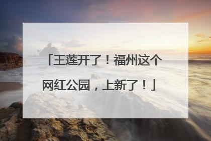 王莲开了！福州这个网红公园，上新了！