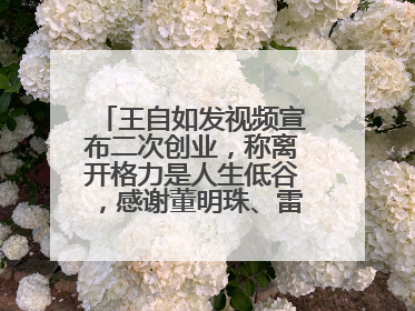 王自如发视频宣布二次创业，称离开格力是人生低谷，感谢董明珠、雷军，还回应了“工资条”：清楚自己要什么……