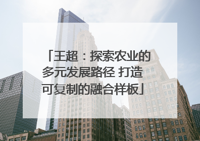 王超：探索农业的多元发展路径 打造可复制的融合样板
