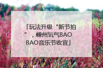 玩法升级“新节拍”，嵊州氧气BAOBAO音乐节收官