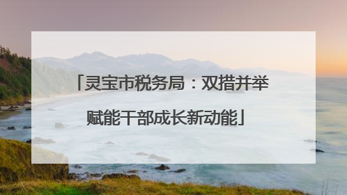 灵宝市税务局：双措并举 赋能干部成长新动能