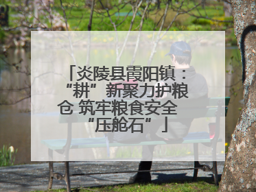 炎陵县霞阳镇：“耕”新聚力护粮仓 筑牢粮食安全“压舱石”