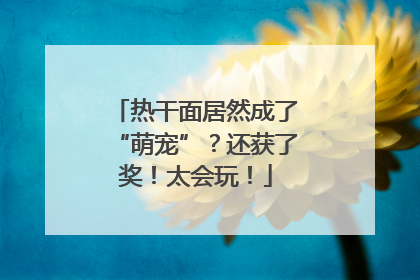 热干面居然成了“萌宠”？还获了奖！太会玩！