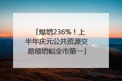爆增236%！上半年庆元公共资源交易额增幅全市第一