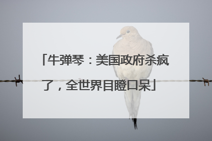 牛弹琴：美国政府杀疯了，全世界目瞪口呆