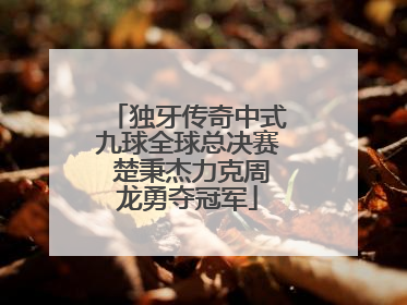 独牙传奇中式九球全球总决赛 楚秉杰力克周龙勇夺冠军