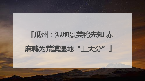 瓜州：湿地景美鸭先知 赤麻鸭为荒漠湿地“上大分”