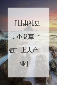 甘肃礼县：小艾草“链”上大产业