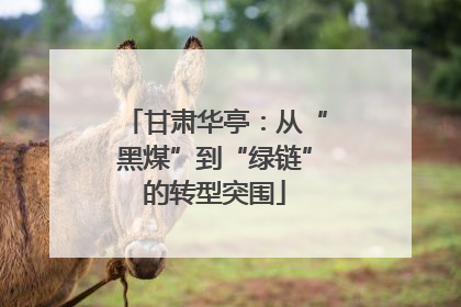 甘肃华亭：从“黑煤”到“绿链”的转型突围