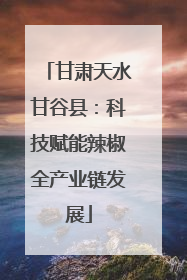 甘肃天水甘谷县：科技赋能辣椒全产业链发展