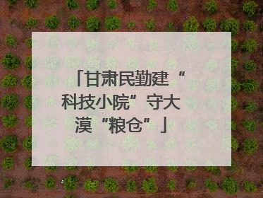 甘肃民勤建“科技小院”守大漠“粮仓”