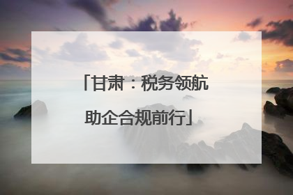甘肃：税务领航 助企合规前行