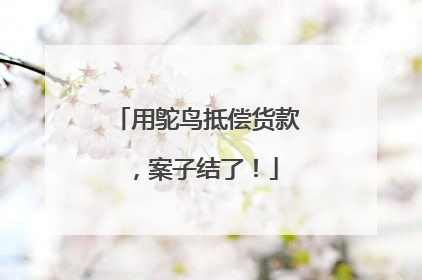 用鸵鸟抵偿货款，案子结了！
