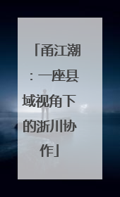 甬江潮：一座县域视角下的浙川协作