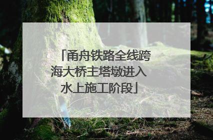 甬舟铁路全线跨海大桥主塔墩进入水上施工阶段