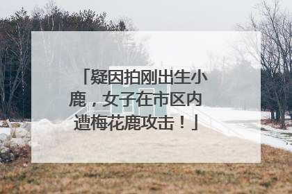 疑因拍刚出生小鹿，女子在市区内遭梅花鹿攻击！