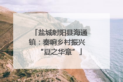 盐城射阳县海通镇：奏响乡村振兴“夏之华章”