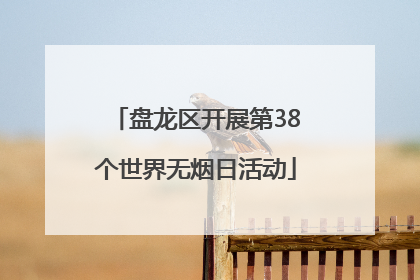 盘龙区开展第38个世界无烟日活动