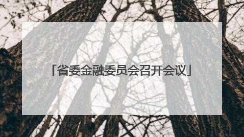 省委金融委员会召开会议