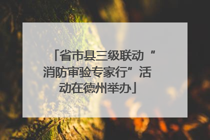 省市县三级联动“消防审验专家行”活动在德州举办