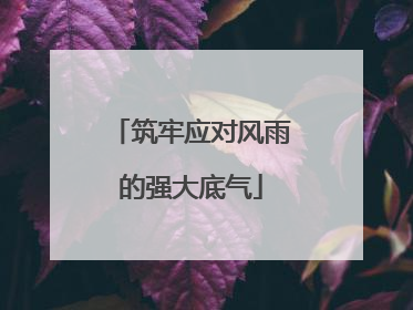 筑牢应对风雨的强大底气