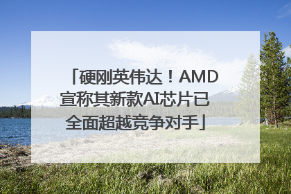 硬刚英伟达！AMD宣称其新款AI芯片已全面超越竞争对手