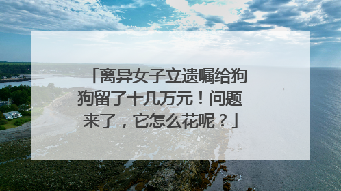 离异女子立遗嘱给狗狗留了十几万元！问题来了，它怎么花呢？