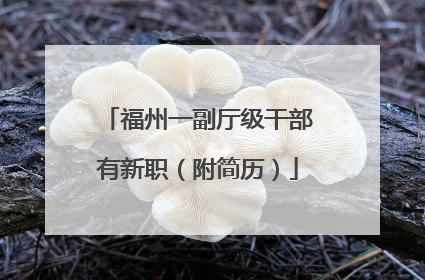 福州一副厅级干部有新职（附简历）