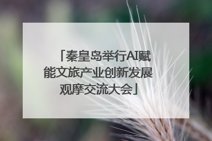 秦皇岛举行AI赋能文旅产业创新发展观摩交流大会