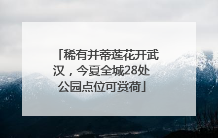 稀有并蒂莲花开武汉，今夏全城28处公园点位可赏荷