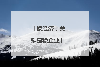 稳经济，关键是稳企业