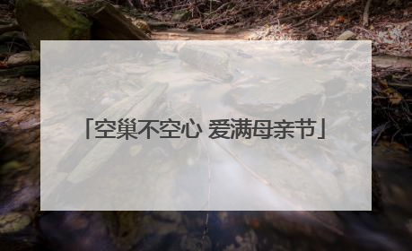 空巢不空心 爱满母亲节