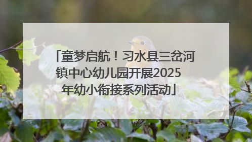 童梦启航！习水县三岔河镇中心幼儿园开展2025年幼小衔接系列活动