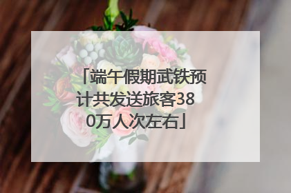 端午假期武铁预计共发送旅客380万人次左右