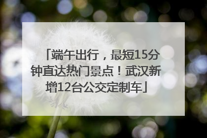 端午出行，最短15分钟直达热门景点！武汉新增12台公交定制车