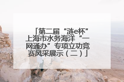 第二届“涟e杯”上海市水务海洋“一网通办”专项立功竞赛风采展示（二）