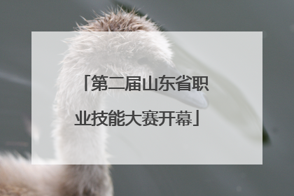 第二届山东省职业技能大赛开幕