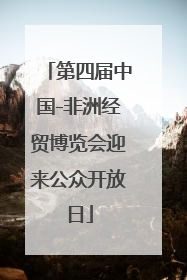 第四届中国-非洲经贸博览会迎来公众开放日