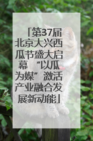 第37届北京大兴西瓜节盛大启幕 “以瓜为媒”激活产业融合发展新动能